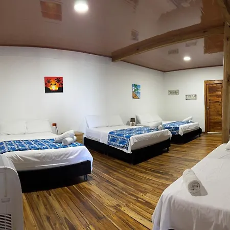 Coral Azul 3*