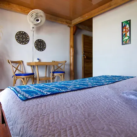 Coral Azul 3*